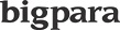 Bigpara Logo
